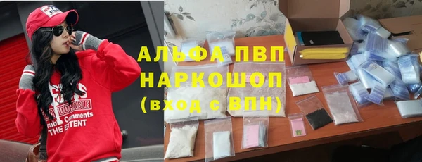 гашик Новокубанск