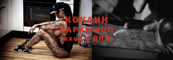 гашик Новокубанск
