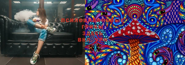 дживик Новодвинск