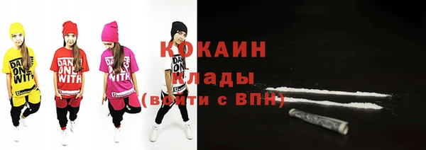дживик Новодвинск