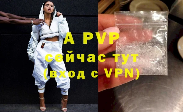 дживик Новодвинск