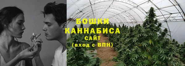 гашик Новокубанск