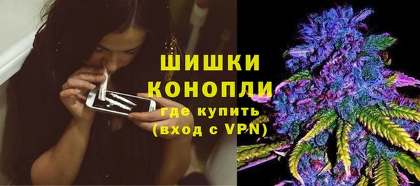 гашик Новокубанск