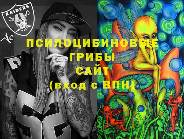 дживик Новодвинск
