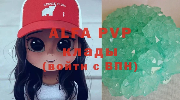 гашик Новокубанск