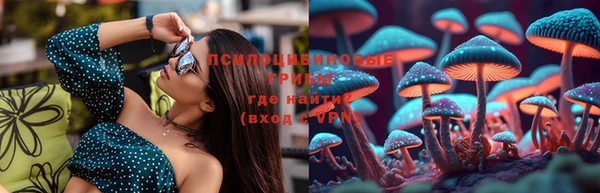 гашик Новокубанск