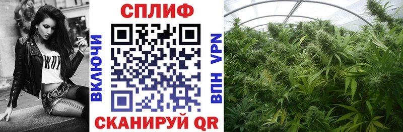 МАРИХУАНА SATIVA & INDICA  Невинномысск 